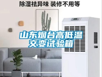 常見問題山東煙臺高低溫交變試驗(yàn)箱