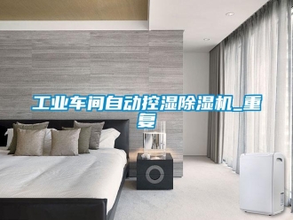 常見問題工業(yè)車間自動控濕除濕機_重復