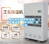 黃石市配電房除濕機(jī)，工業(yè)抽濕機(jī)  除濕器廠家 價(jià)格