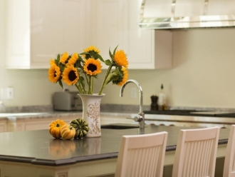 常見問題蔬菜保鮮加濕器，大霧量蔬菜保鮮加濕噴霧機