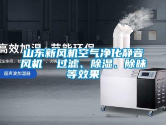 常見問題山東新風(fēng)機(jī)空氣凈化靜音風(fēng)機(jī)  過濾、除濕、除味等效果