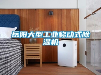 常見問題岳陽大型工業(yè)移動(dòng)式除濕機(jī)