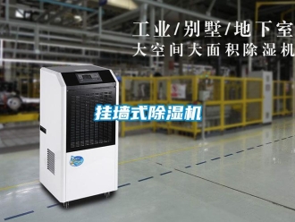 行業(yè)新聞掛墻式除濕機(jī)