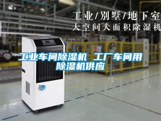 常見問題工業(yè)車間除濕機 工廠車間用除濕機供應