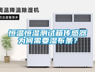 知識百科恒溫恒濕測試箱傳感器為何需要濕布條？