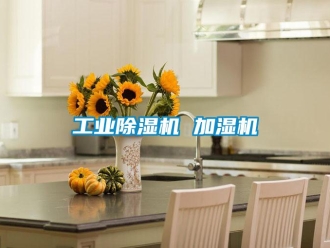 新聞資訊工業(yè)除濕機 加濕機