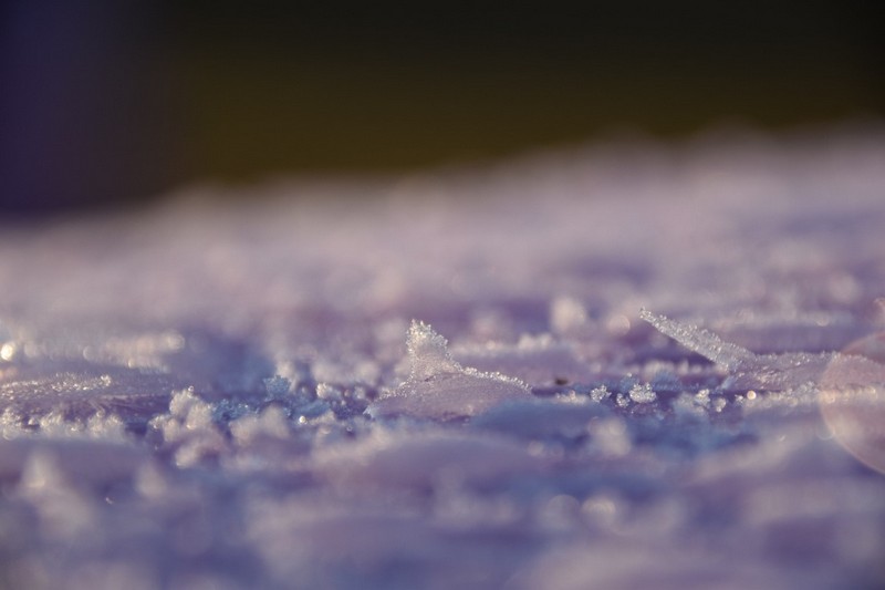 你知道除濕機(jī)為什么需要自動(dòng)化霜嗎？ 冷凍式除濕機(jī)化霜功能