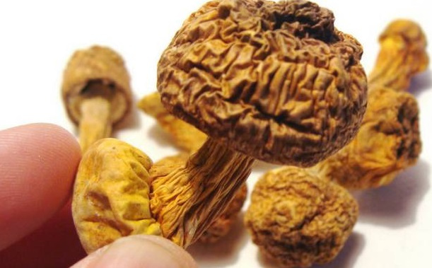 巴西菇、姬松茸烘干機(jī)-怎樣烘干色澤好且菇體褶片完整？