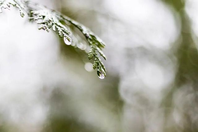 空氣濕度大帶來的危害有哪些，你知道嗎？