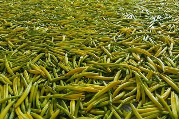 無硫金針菜烘干如何保持品相？不發(fā)黑？_除濕機(jī)廠家