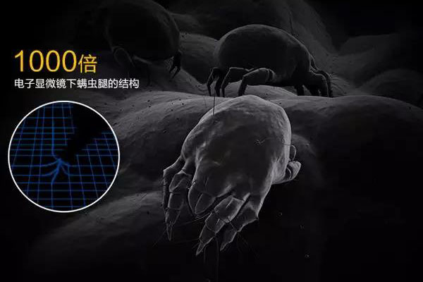 螨蟲高發(fā)季，家用除濕機除螨有妙計！