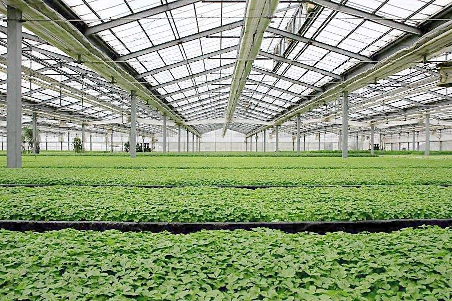 除濕器如何解決高濕度、多種危害的溫室除濕問(wèn)題？